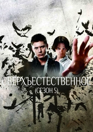 Сверхъестественное (Сезон 5)