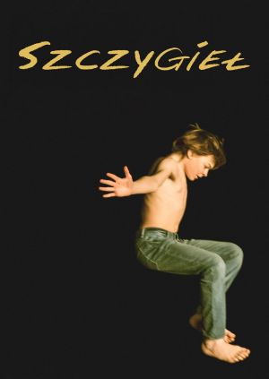 Szczygieł — plakat