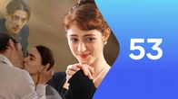 Серия 53