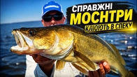 СПРАВЖНІ МОНСТРИ КЛЮЮТЬ У СПЕКУ! Джиг чи пелагіка? Шукаємо трофей судака з ActiveTarget!