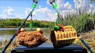ЛОВЛЮ КАРАСІВ НА СІЛЬСЬКОМУ УЮТНОМУ СТАВКУ