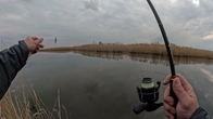 В Херсон на рідне болото