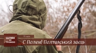 "Poltava Hare"
