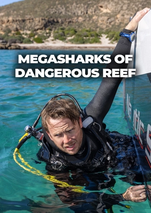 Megasharks of Dangerous Reef