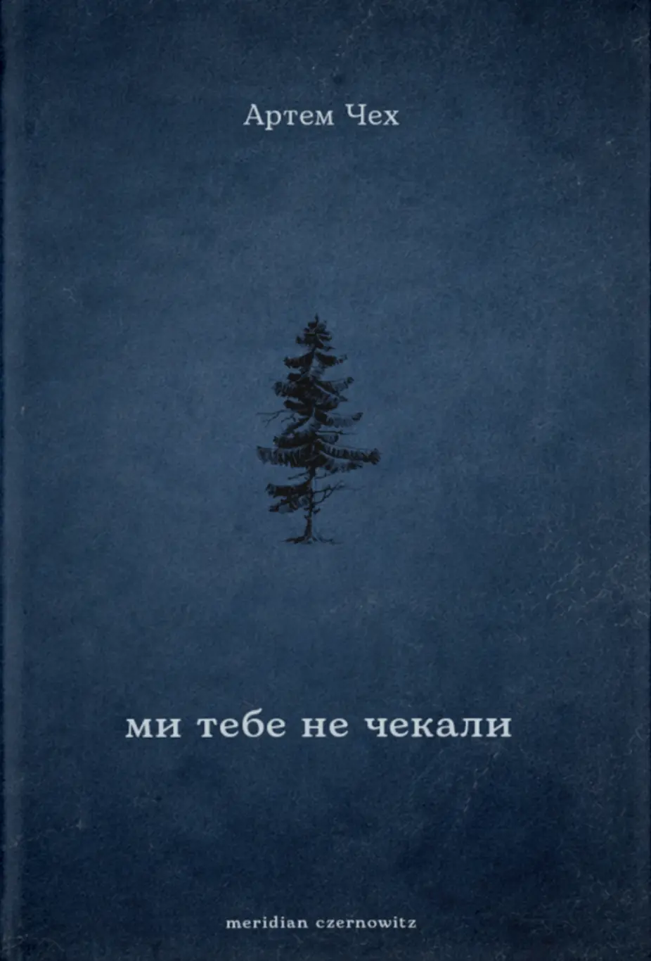 Обкладинка "Ми тебе не чекали"