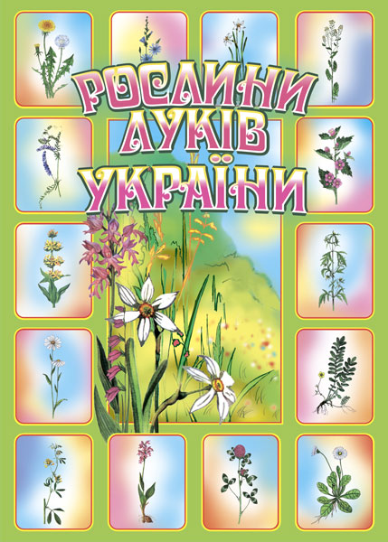 Рослини луків України