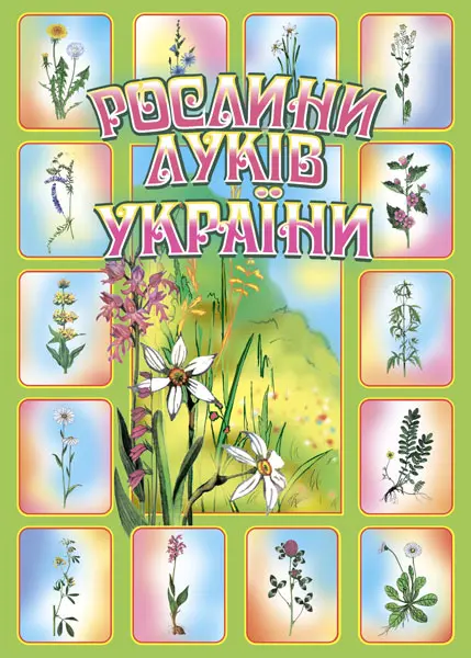 Рослини луків України