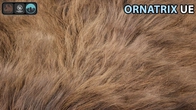 Ornatrix for Unreal Engine 5 | Mastering Realistic Fur Creation and Rendering #ue5