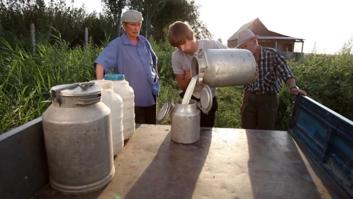 Шахрезада из Кукушкино