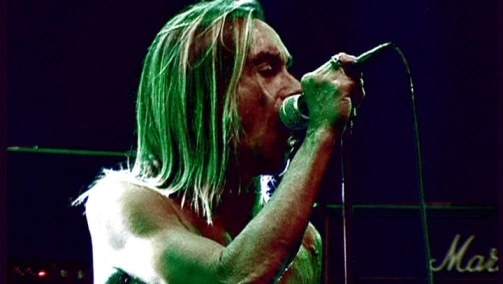 live at Lokerse feesten