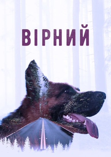 Вірний