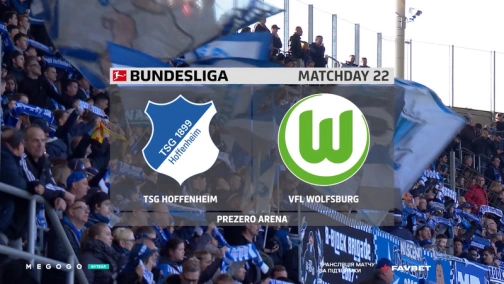 Round 22. Hoffenheim — Wolfsburg. 2:3 Highlights