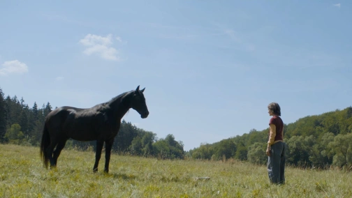 Східний вітер 4: Легенда про Воїна