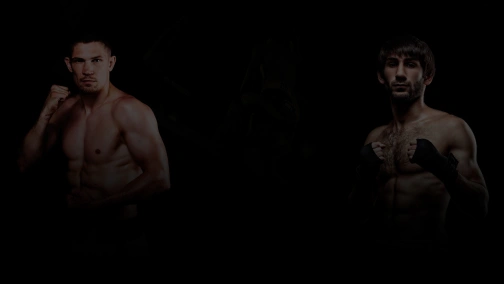 Вечір професійного боксу