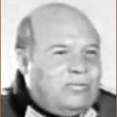 Vladimir Lapin