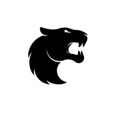 FURIA Esports