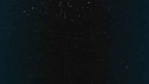 CS:GO. Gambit vs Nemiga