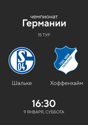 15-й тур. Шальке — Хоффенхайм. 4:0 Обзор матча