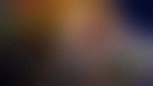 Пони бегает по кругу