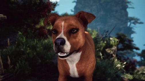 Загублене лев'яче королівство