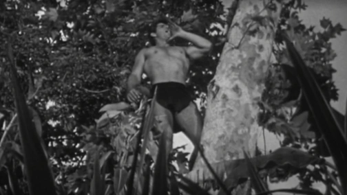 Тарзан и восстание в джунглях