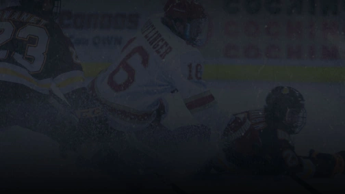 Sweden — Czech Republic