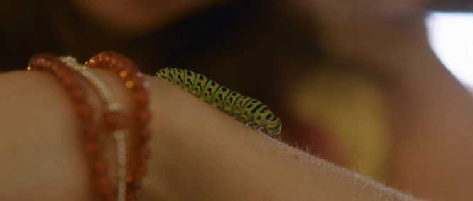 В конце лета