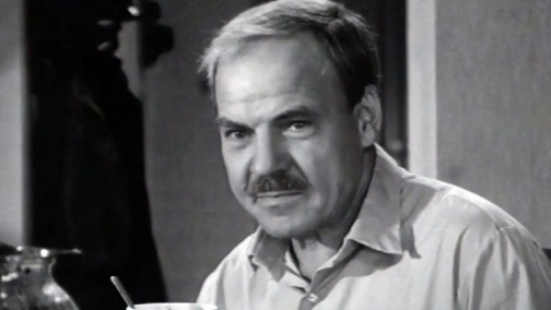 Птахи над містом