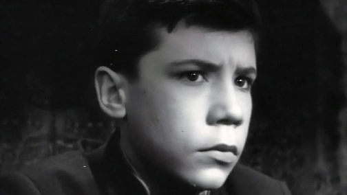 Мишка, Серега и я