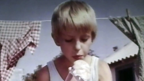 Красный петух плимутрок