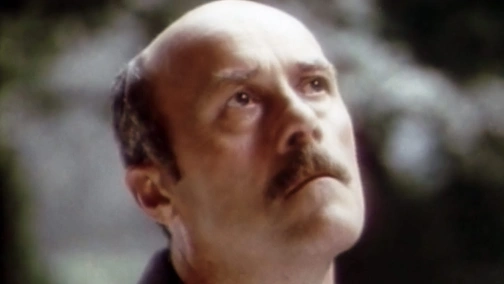 Серед сірих каменів