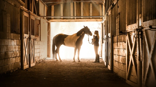 Серце чемпіона