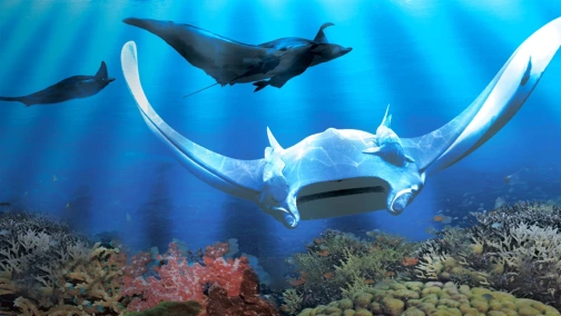 Люди, фауна, спосіб життя