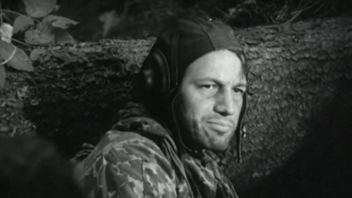 Парашюты на деревьях