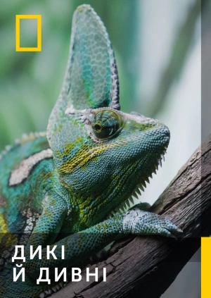 Дикие и странные