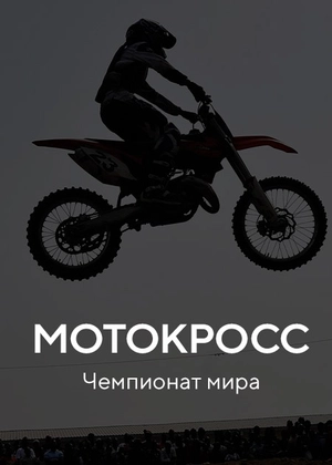 Мотокросс. Чемпионат мира