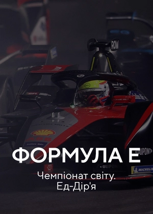 Формула E. Чемпіонат світу. Ед-Дірійя