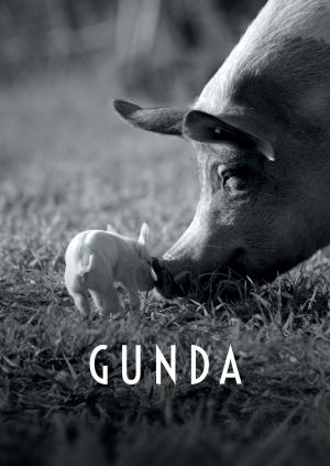 Gunda — plakat