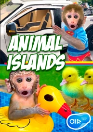 Animal Islands