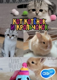 Кот Котёнок и Крольчонок