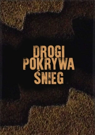 Drogi pokrywa śnieg