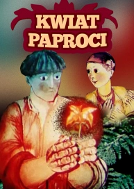 Kwiat paproci