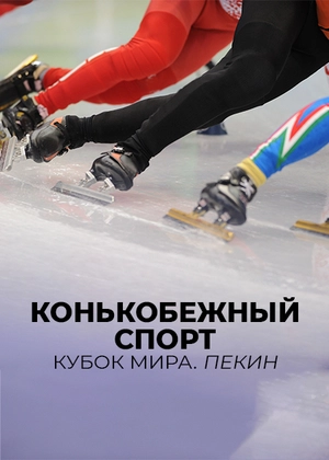 Конькобежный спорт. Кубок мира. Пекин