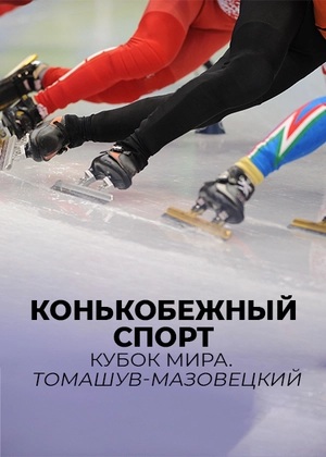 Конькобежный спорт. Кубок мира. Томашув-Мазовецкий