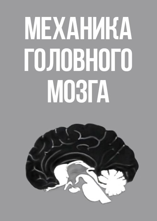 Смотреть Механика головного мозга (Поведение человека) онлайн на Кинопод бесплатно
