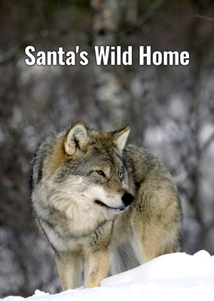Santa's Wild Home