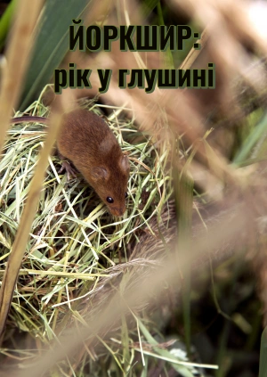 Йоркшир: рік у глушині