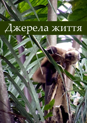 Джерела життя