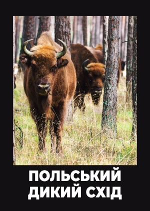 Польський Дикий Схід