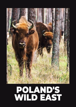 Poland's Wild East